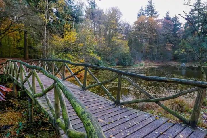 Chalet Buitengewoon Rijs Eksteriør billede